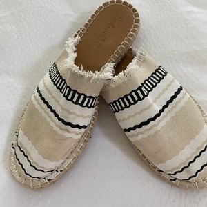 Splendid canvas slip ons.